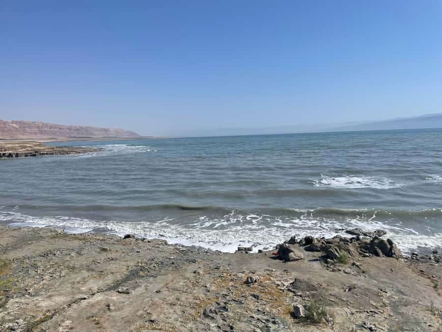 Masada Dead Sea: Small Group Tour from Tlv INCL. ENTRY FEES - Guide quality and group size