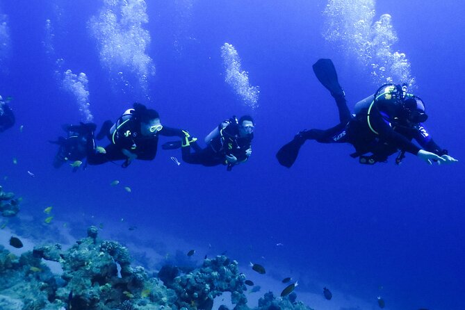 PADI Open Water Diver Course - 5 Days Scuba Diving - What the $551 price includes