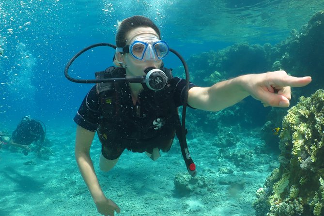 PADI Open Water Diver Course - 5 Days Scuba Diving - Who will get the most from this experience
