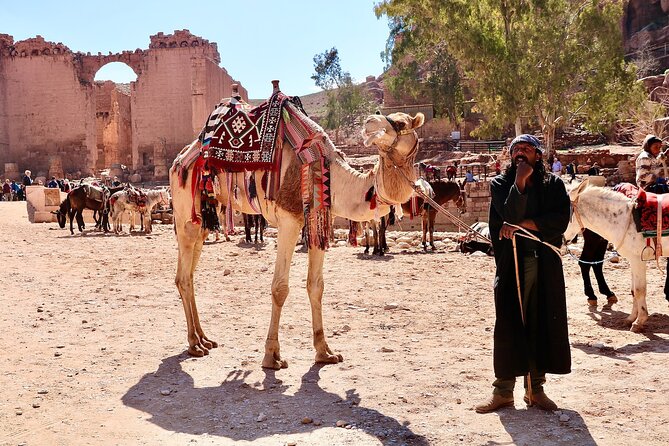 Petra 1-Day Tour from Tel Aviv with FREE Authentic Lunch - Returning to Tel Aviv after Petra