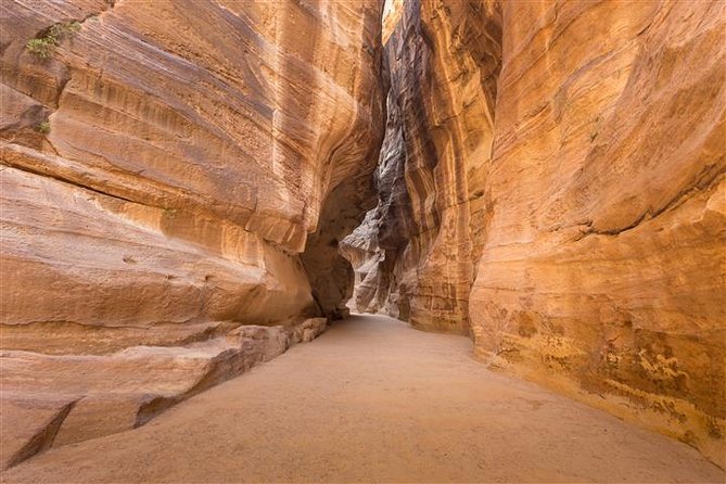 Petra and Wadi Rum 2 day Tour from Eilat - Who will enjoy this tour most