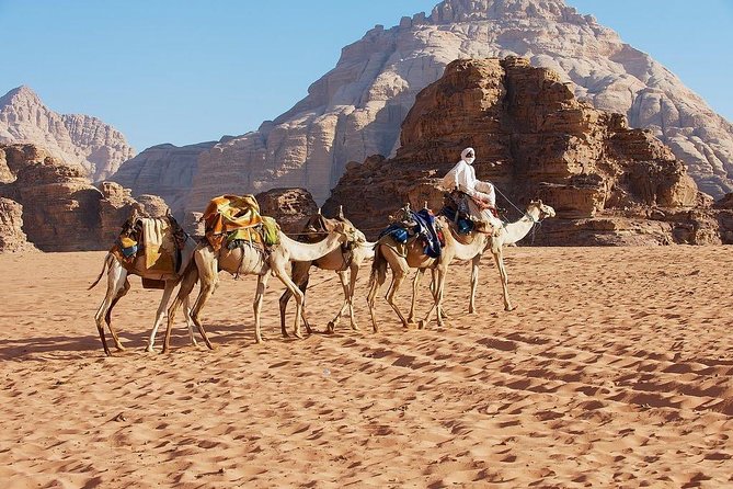 Petra & Wadi Rum 3 Days 2 Tour Nights from Eilat border - Who will like this fast Jordan itinerary