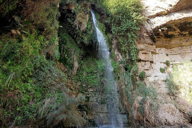 Private Day Tour in Masada and the Dead Sea - Practical details before you reserve