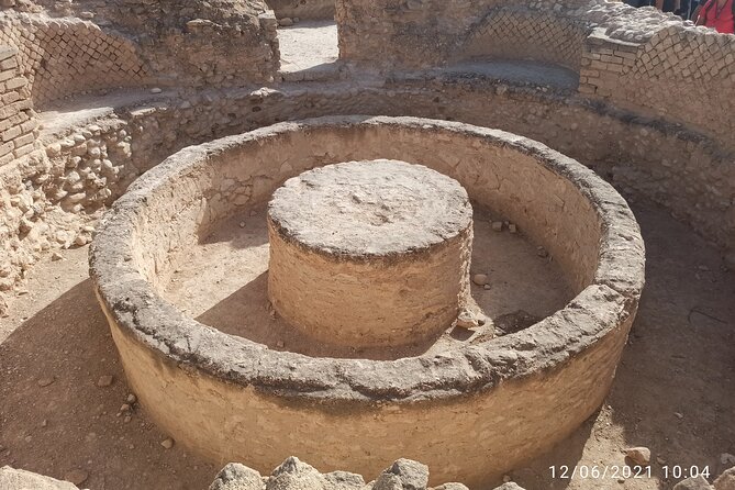 private Full-day Tour to Jericho + the Dead Sea - Who should book this Jericho and Dead Sea day