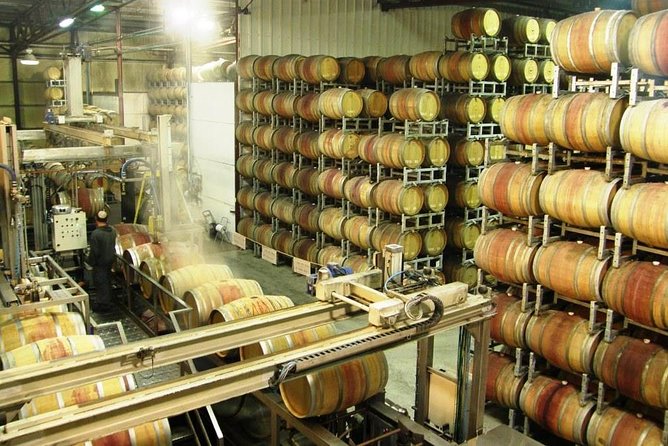 Private Israeli Wines Tour of the Central Israel - Three wineries, three different styles
