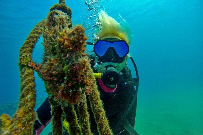 Private Scuba Diving Tour with Transportation and Guide - A private guide changes the pace