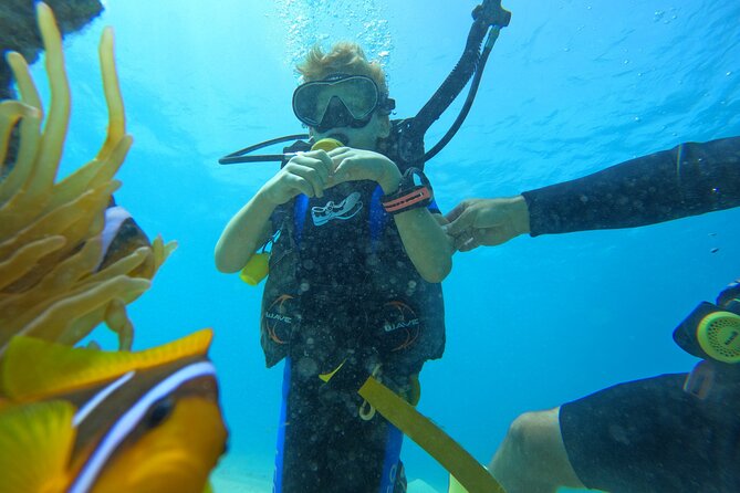Private Scuba Diving Tour with Transportation and Guide - What the $220 price includes