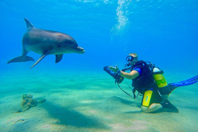 Private Scuba Diving Tour with Transportation and Guide - Who will get the most from this experience