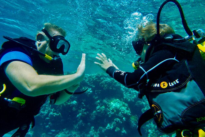 Private Scuba Diving Tour with Transportation and Guide - Practical details to settle before booking