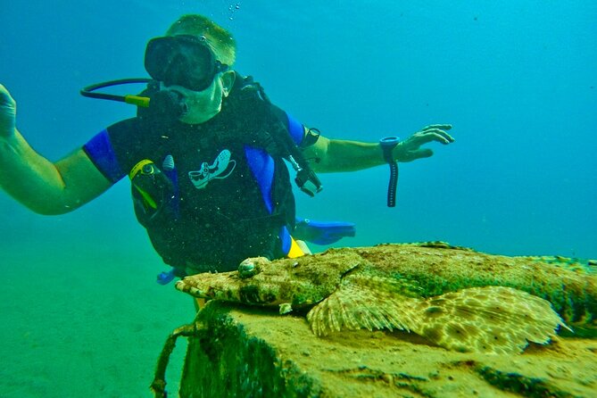 Private Scuba Diving Tour with Transportation and Guide - Cancellation and timing