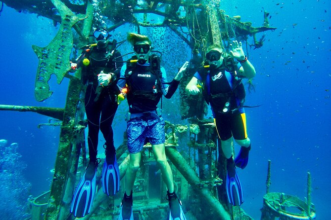 Private Scuba Diving Tour with Transportation and Guide - Navy shipwrecks and Red Sea sea life