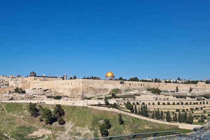 Private Tour from Tel Aviv to Jerusalem - Gethsemane brings ancient trees and modern church design