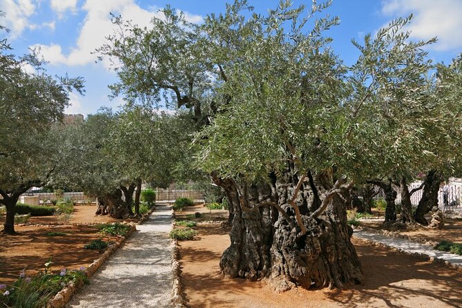 Private Tour : Jerusalem Old city day trip from Jerusalem - The Jewish Quarter and the Byzantine Cardo