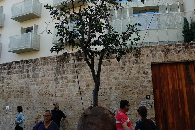 Private Tour: Non-Stop Tel-Aviv - A brief look at Jaffa Port