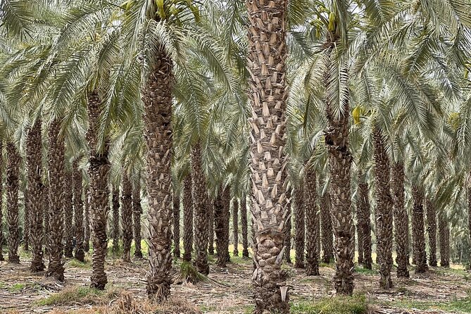 Private Tour to Nazareth & Sea of Galilee & Jordan River Yardenit - Exclusive - Duc in Altum and the day’s final reflection