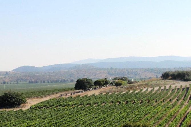 Private wine tour of Northern Israel - What makes this wine day worth considering