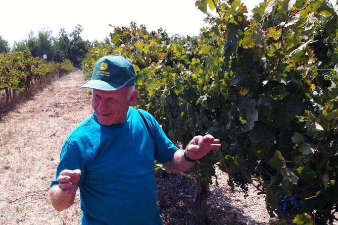 Private wine tour of Northern Israel - From Tel Aviv to the Galilee vineyards