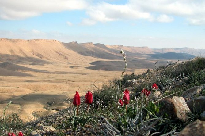 Ramon Crater Jeep Tour from Mitzpe Ramon - Beerot campground and the restored quarry