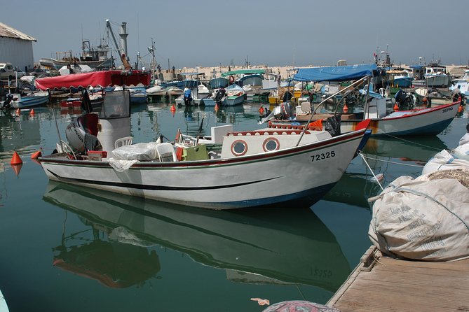 Tel Aviv and Jaffa Most Exciting Private Tour - The Ilana Goor Museum and St. Peter’s Church