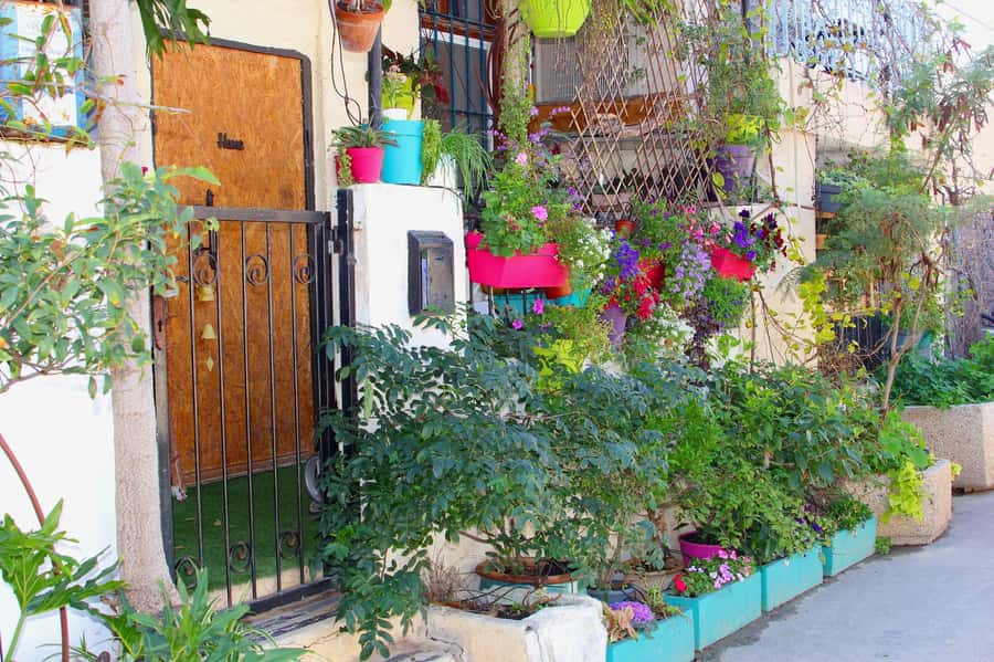 Tel Aviv: Florentin Saturday Walking Tour - Practical details before you book