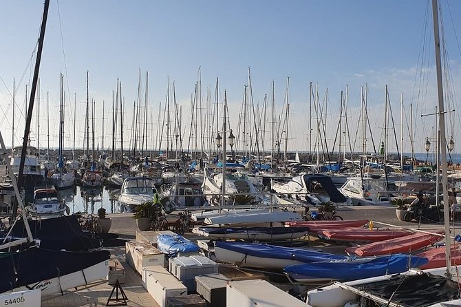 Tel Aviv Highlights Bike Tour - Habimah Square and Tel Aviv’s cultural center