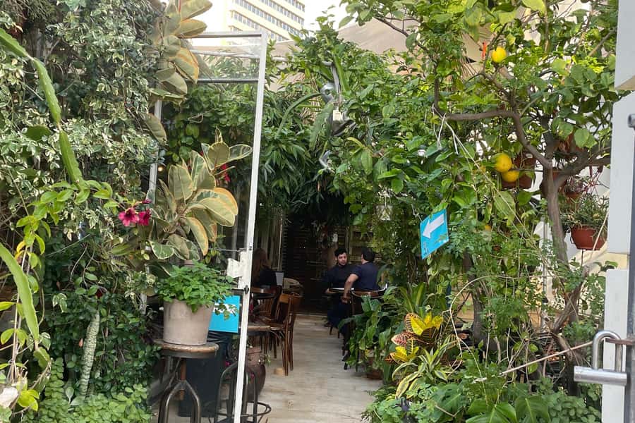 Tel Aviv: Neve Tzedek Cultural Walking Tour - Practical advice for a smoother walk