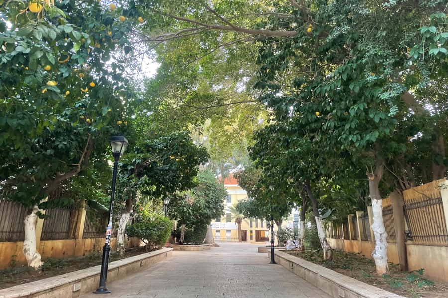 Tel Aviv: Neve Tzedek Cultural Walking Tour - Meeting at Shabazi Street 64