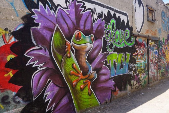 Tel Aviv Street Art & Graffiti Tour - Key points to know before you book