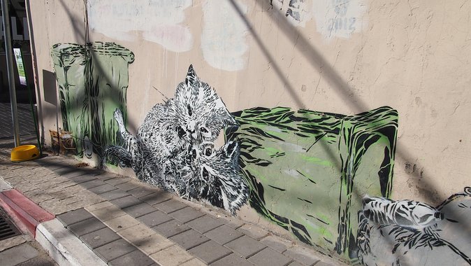 Tel Aviv Street Art Tour - Buying Art Directly From Local Makers