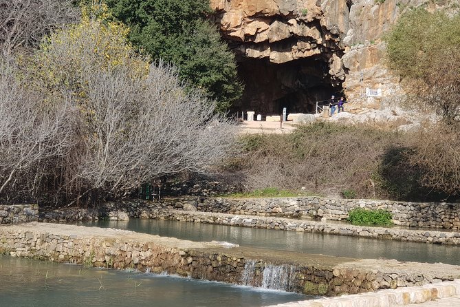 Tel Dan and Baniyas National Parks Private Tour - Guide style and the role of an art historian