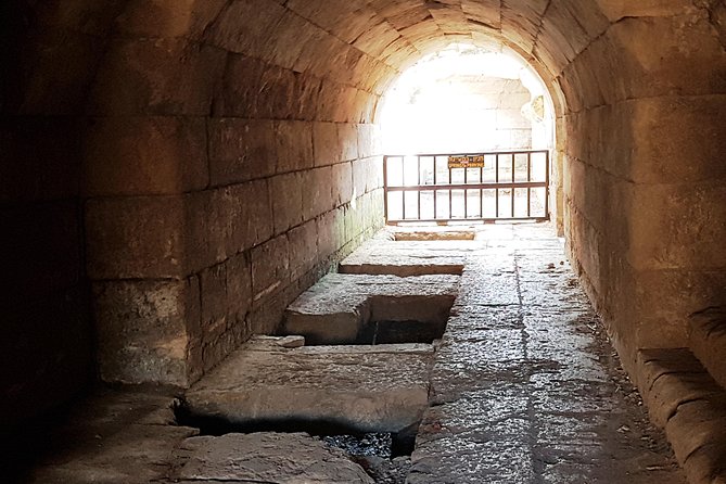 Tel Dan and Baniyas National Parks Private Tour - Physical demands and how to prepare
