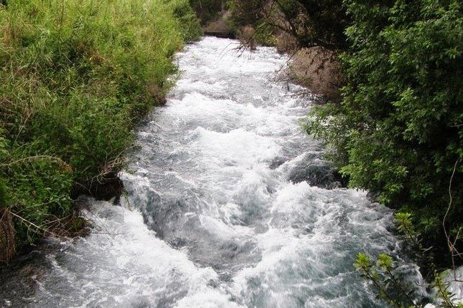 Tel Dan and Baniyas National Parks Private Tour - Who should book this private day